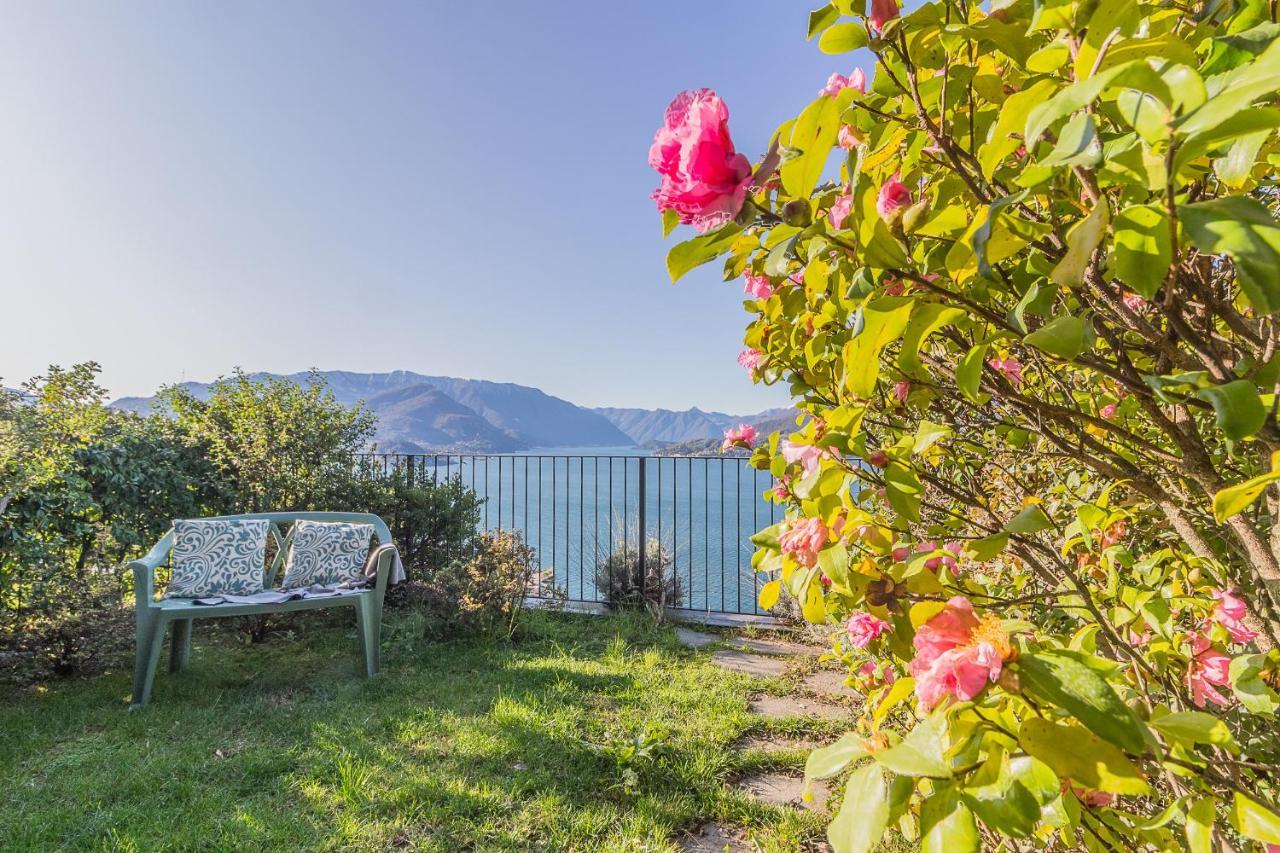 Palma Romantic Dream Perledo Εξωτερικό φωτογραφία